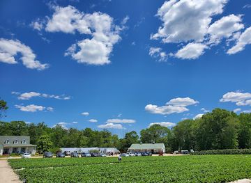 maryland/waldorf/landmark/shlagel-farms