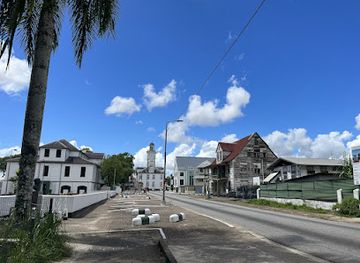 suriname/marienburg/landmark/palmtree-garden
