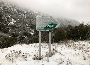 algeria/chrea-national-park/landmark/the-black-forest