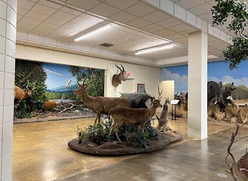 nevada/elko/landmark/northeastern-nevada-museum