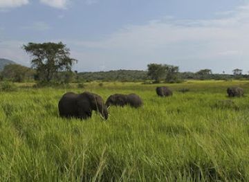 rwanda/akagera-national-park/landmark/rwanda-eco-company-and-safaris