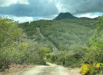 curacao/westpunt/landmark/christoffel-national-park