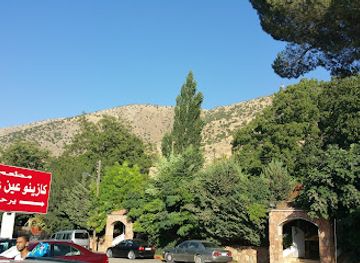 lebanon/bekaa/landmark/nabaa-anjar-restaurant