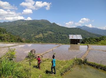 indonesia/east-nusa-tenggara/landmark/air-terjun-pangkadari
