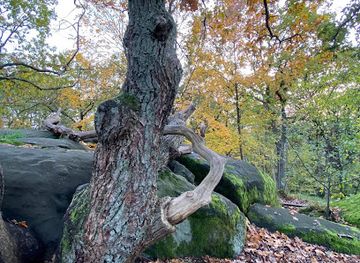 sweden/gothenburg/landmark/det-aldsta-goteborg