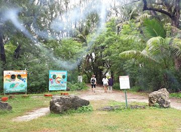 guam/sinajana/landmark/ritidian-point