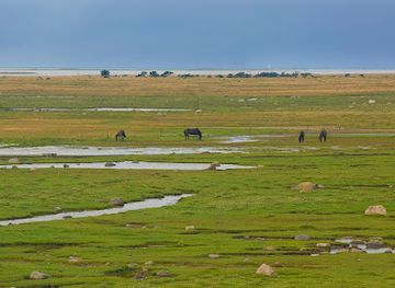 denmark/laso/landmark/ronnerne