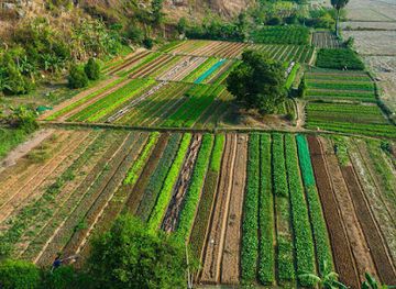 cambodia/kampot/landmark/seyha-private-kampot-tourguide