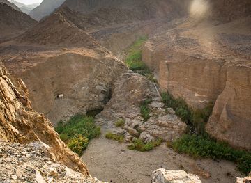 united-arab-emirates/hajar-mountains/landmark/wadi-wurayah-biosphere-reserve