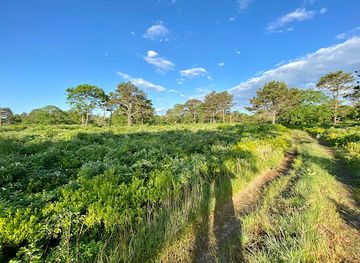 massachusetts/martha-s-vineyard/landmark/long-point-wildlife-refuge