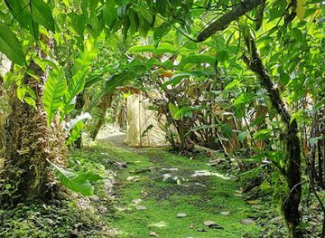 costa-rica/sarapiqui/landmark/pierella-ecological-garden