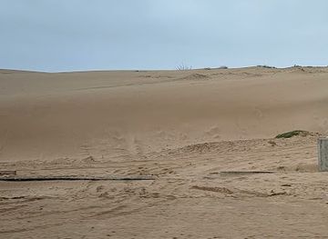 oman/mirbat/landmark/dheefirat