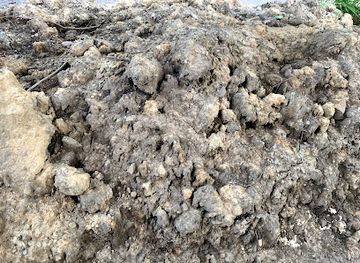 ohio/northeast-ohio/landmark/grant-deming-s-forest-hill-allotment-historic-district