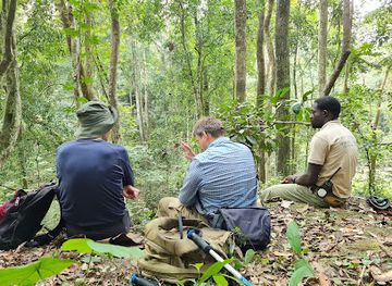 gabon/minkebe-national-park/landmark/241tour