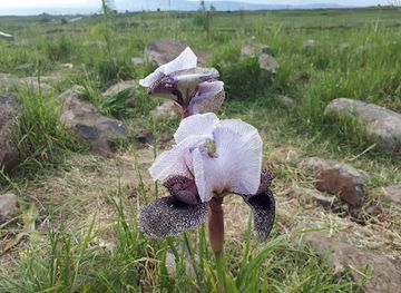 israel/golan-heights/landmark/irus-ha-golan