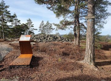 norway/fredrikstad/krakeroy/landmark/krikenasen-gravroyser