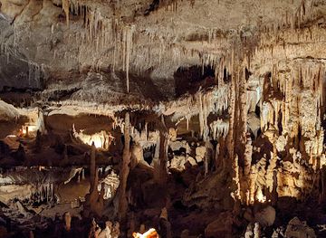 france/midi-pyrenees/landmark/grottes-prehistoriques-de-cougnac