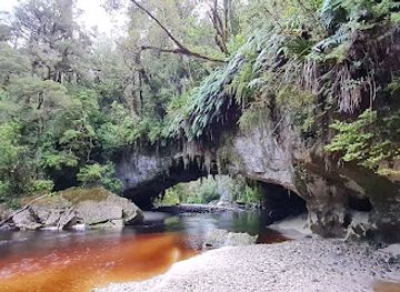new-zealand/west-coast/landmark/oparara-basin-arches