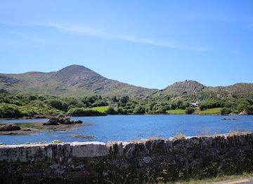 ireland/beara-peninsula/landmark/derreen-garden-gairdin-derreen