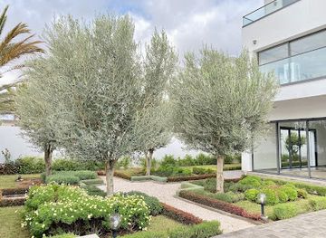 morocco/agadir-region/landmark/tigmaia-oasis-creative-et-culturelle-residence-artistique-guest-house-a-agadir