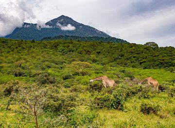 tanzania/mahale-mountains/landmark/arusha-national-park