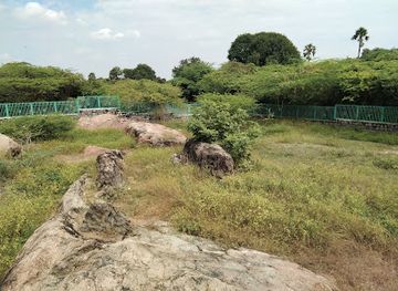 india/tamil-nadu/landmark/pallavas-cave
