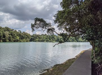 singapore/macritchie-reservoir/landmark/central-catchment-nature-reserve