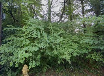 ohio/southwest-ohio/landmark/gorham-a-worth-house