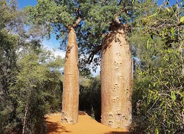 madagascar/tsingy-de-bemaraha-national-park/landmark/reserve-reniala
