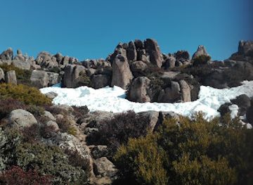australia/mount-wellington/landmark/fern-tree-park