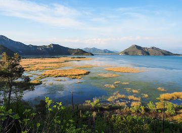 montenegro/skadar-lake-region/landmark/boat-old-bridge-skadar-lake