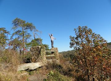 alabama/lookout-mountain/landmark/lynn-overlook