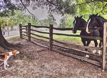 virginia/williamsburg/landmark/williamsburg-families-things-to-do-in-williamsburg-va