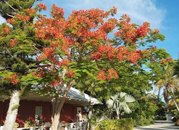 turks-and-caicos-islands/grace-bay/landmark/nikki-s-trinkets