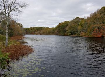 rhode-island/south-county/landmark/shady-lea-historic-district