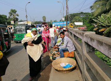 bangladesh/barisal/landmark/morok-kholar-pool