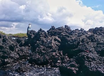 ecuador/galapagos-islands/landmark/parque-nacional-galapagos