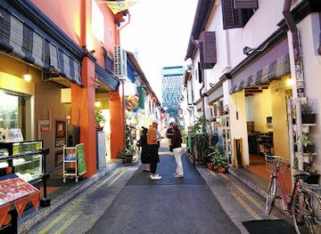 singapore/serangoon/landmark/elephant-parade-haji-lane