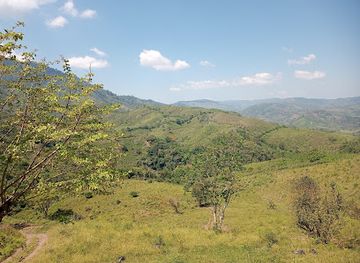 honduras/santa-barbara-region/landmark/los-mayas