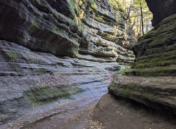 illinois/matthiessen-state-park/landmark/lover-s-leap-overlook