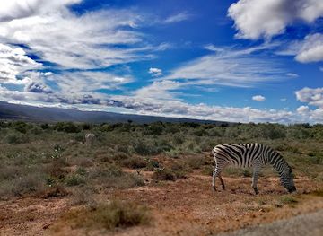 south-africa/highveld/landmark/addo-elephant-national-park