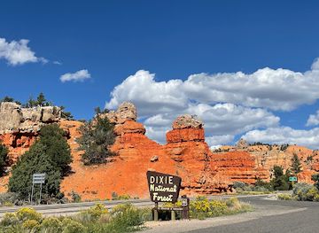 utah/dixie/landmark/dixie-national-forest