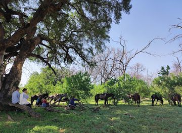 botswana/kgalagadi-transfrontier-park/landmark/northern-tuli-game-reserve
