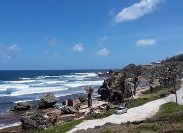 barbados/animal-flower-cave/landmark/flower-forest-botanical-gardens