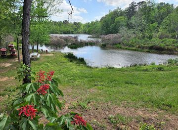 texas/piney-woods/landmark/lake-bob-sandlin-state-park