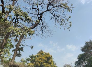 india/pune/kalyani-nagar/landmark/kalyani-nagar-pune