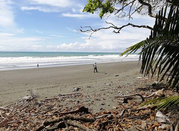 costa-rica/osa-peninsula/landmark/playa-carate