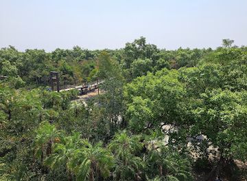 india/sundarbans/landmark/karamjal