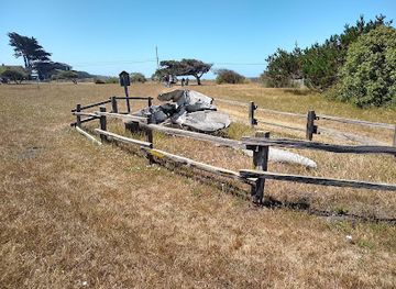 california/san-mateo/landmark/skull-of-a-blue-whale