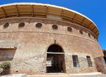 algeria/kabylia/landmark/oran-arena